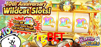 rgbet plataforma